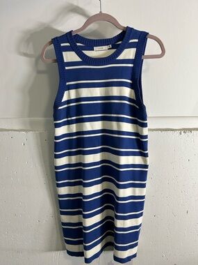 Lush Striped Knit Tank Dress in Navy & White